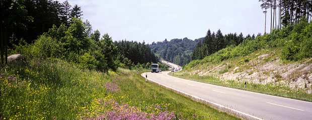 Magergrünland und Rohbodenstandorte im Extensivbereich des Straßenbegleitgrüns mit Anschluss an Gehölzbestände und Wälder wie hier an einer Bundesstraße eignen sich besonders gut zur ökologischen Aufwertung.